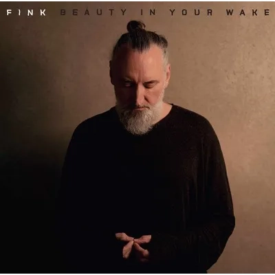 Beauty in Your Wake | Fink