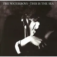 This Is the Sea | The Waterboys
