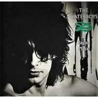A Pagan Place | The Waterboys