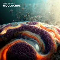 Fabric Presents Nicola Cruz | Various Artists