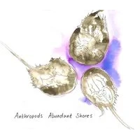 Abundant Shores | Anthropods