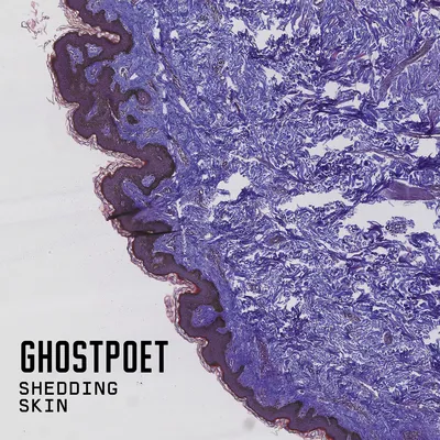 Shedding Skin - (Purple) Vinyl [LRS 2021] | Ghostpoet