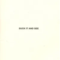 Suck It and See | Arctic Monkeys