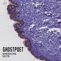 Shedding Skin | Ghostpoet