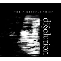Dissolution | The Pineapple Thief