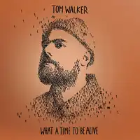What a Time to Be Alive | Tom Walker