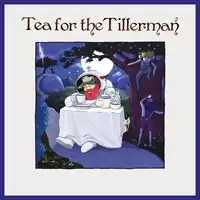 Tea for the Tillerman 2 | Yusuf/Cat Stevens