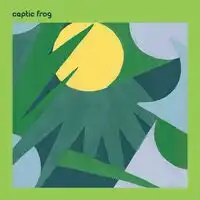 Ceptic Frog | Ceptic Frog