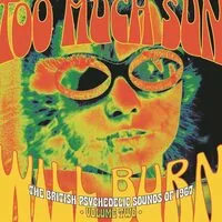 Too Much Sun Will Burn: The British Psychedelic Sounds of 1967 - Volume 2 | Various Artists
