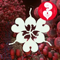 Ovule (Sega Bodega Remix)/Atopos (Sideproject Remix) [RSD 2023] | Björk