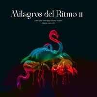 Jose Manuel Presents: Milagros Del Ritmo II: Obscure and Rhythmic Tunes from 1988-1993 | Various Artists
