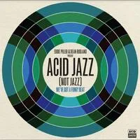 We've Got a Funky Beat: Acid Jazz (Not Jazz) | Various Artists