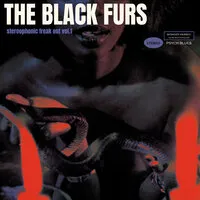 Stereophonic Freak Out - Volume 1 | The Black Furs