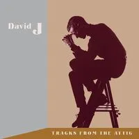Tracks from the attic | David J
