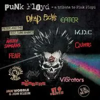 Punk Floyd: A Tribute to Pink Floyd | Various Artists