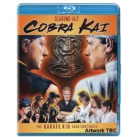 Cobra Kai: Season 1 & 2|Ralph Macchio