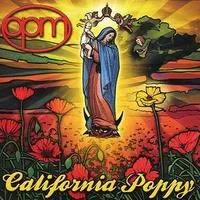 California Poppy | OPM