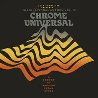 Imaginational Anthem: Chrome Universal: A Survey of Modern Pedal Steel - Volume XI | Various Artists