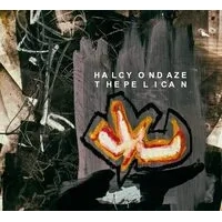 The Pelican | Halcyon Daze
