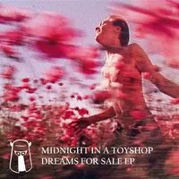 Dreams for Sale EP | Midnight In A Toyshop